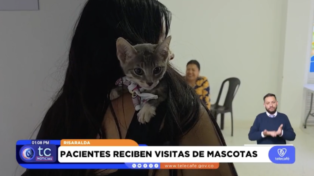Visitas mascotas Risaralda