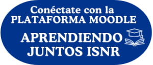 Plataforma moodle Instituto del Sistema Nervioso del Risaralda